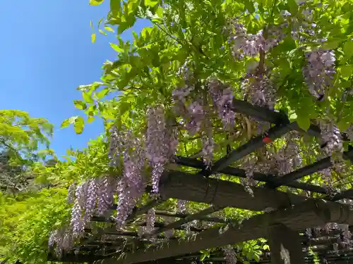 鹿島神宮(茨城県)