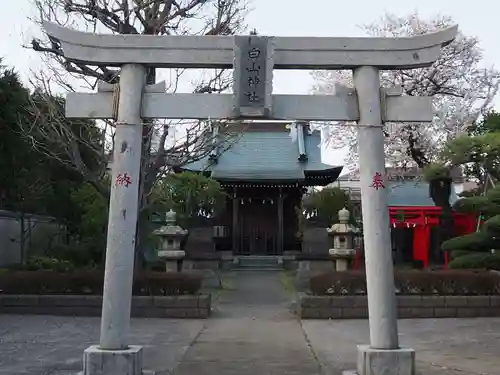 白山神社の鳥居