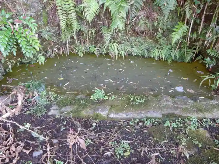 白笹稲荷神社の自然