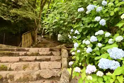 矢田寺(奈良県)