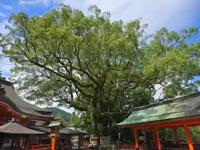熊野那智大社(和歌山県)
