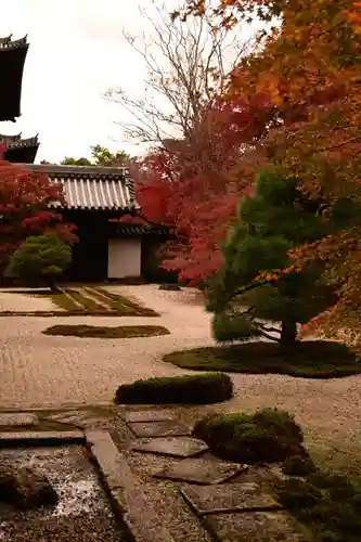 天授庵(京都府)