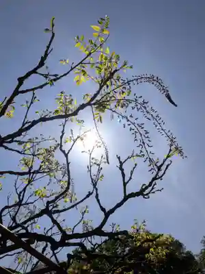 愛染院(東京都)