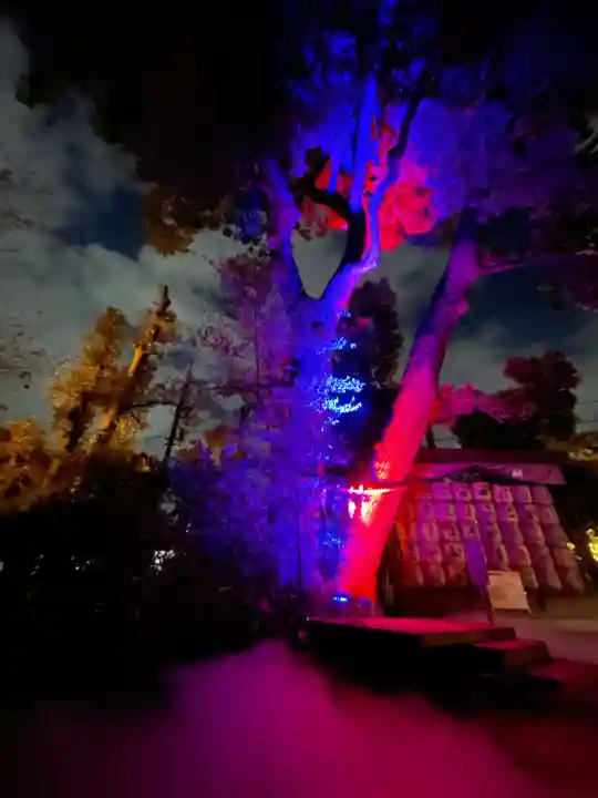 武蔵一宮氷川神社(埼玉県)