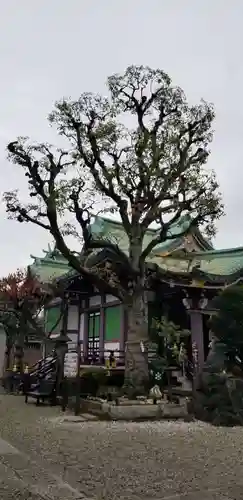 高木神社の自然