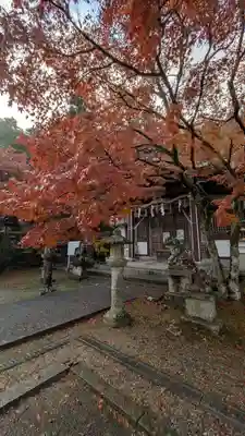 若山神社(大阪府)