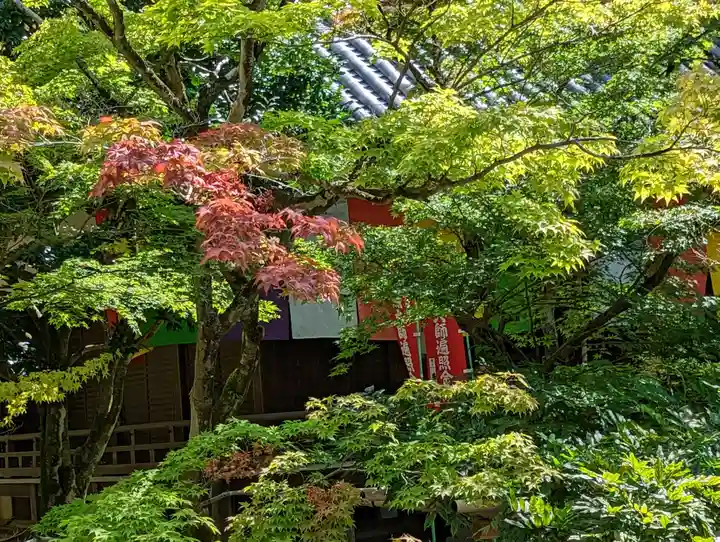 今熊野観音寺(京都府)