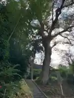 福王神社(千葉県)