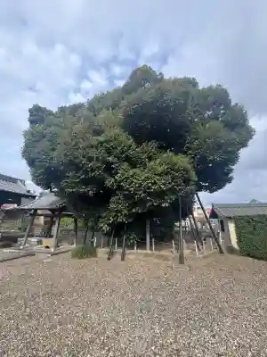 乗蓮寺(愛知県)