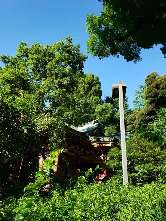 中野氷川神社の本殿・本堂