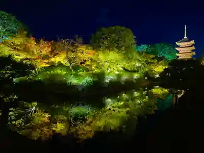 東寺（教王護国寺）(京都府)