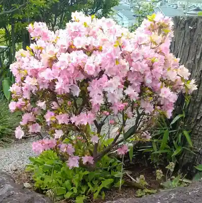 弘誓寺(宮城県)