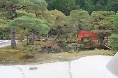慈照寺（慈照禅寺・銀閣寺）(京都府)