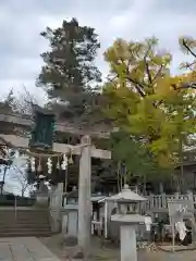 玉前神社(千葉県)