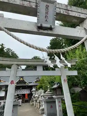 白蛇辨財天の鳥居