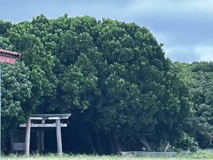 波照間御嶽の{uncategorized: "未分類", other: "その他", undefined: "問題あり", building: "その他建物", grave: "お墓", sacred_gate: "鳥居", guardian: "狛犬", statue: "像", buddha: "仏像", history: "歴史", nature: "自然", garden: "庭園", animal: "動物", pagoda: "塔", temizu: "手水舎", mountain_gate: "山門・神門", sanctuary: "本殿・本堂", subordinate: "末社・摂社", art: "芸術", scenery: "景色", jizo: "地蔵", ema: "絵馬", goshuin: "御朱印", omikuji: "おみくじ", items: "授与品その他", amulet: "お守り", goshuincho: "御朱印帳", eats: "食事", festival: "お祭り", votive_dance: "神楽", shichigosan: "七五三参", wedding: "結婚式", experience: "体験その他", initially: "初詣", around: "周辺", anti_infection: "感染症対策"}