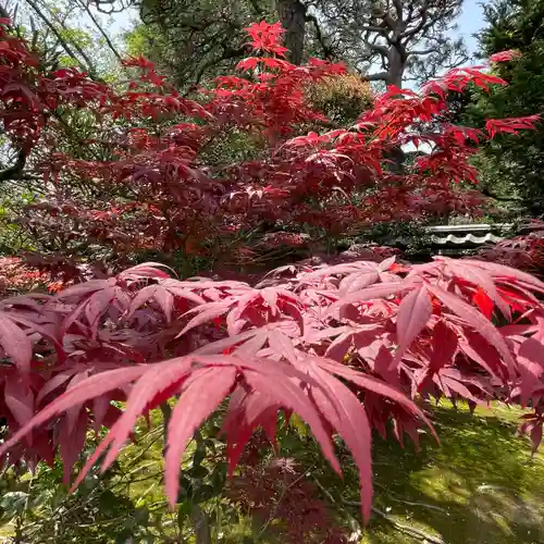 題経寺（柴又帝釈天）(東京都)