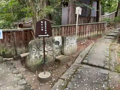 十輪寺(京都府)