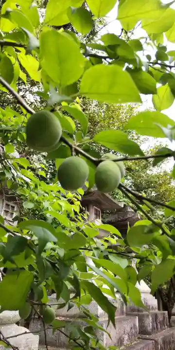 北野天満宮(京都府)