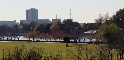 徳島稲荷神社の周辺