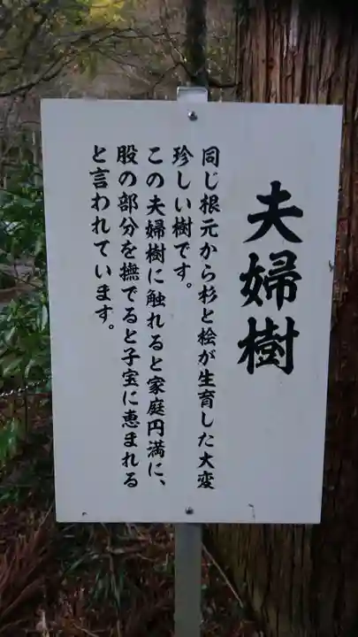 大矢田神社の歴史