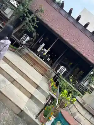 高円寺氷川神社(東京都)