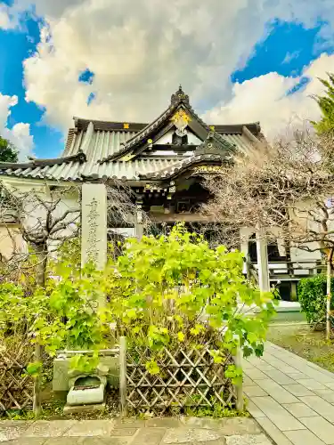 妙隆寺(神奈川県)
