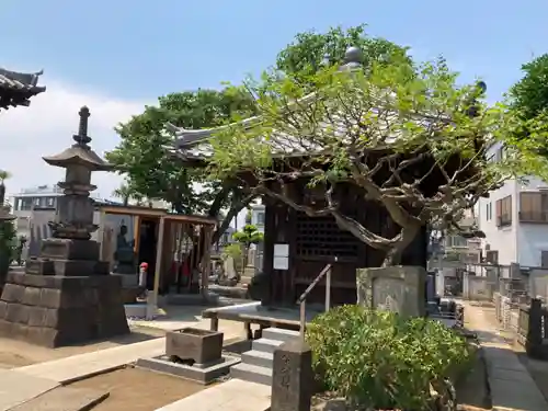 観音寺(東京都)