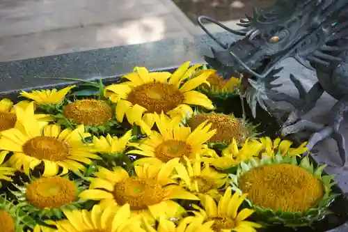 東海市熊野神社の手水舎