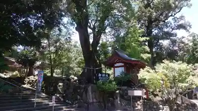 鹿児島神宮(鹿児島県)