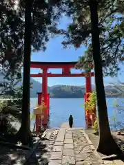 箱根神社の鳥居