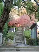 杉本寺の自然