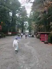 日光東照宮の建物その他