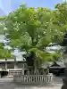 高城神社の{uncategorized: "未分類", other: "その他", undefined: "問題あり", building: "その他建物", grave: "お墓", sacred_gate: "鳥居", guardian: "狛犬", statue: "像", buddha: "仏像", history: "歴史", nature: "自然", garden: "庭園", animal: "動物", pagoda: "塔", temizu: "手水舎", mountain_gate: "山門・神門", sanctuary: "本殿・本堂", subordinate: "末社・摂社", art: "芸術", scenery: "景色", jizo: "地蔵", ema: "絵馬", goshuin: "御朱印", omikuji: "おみくじ", items: "授与品その他", amulet: "お守り", goshuincho: "御朱印帳", eats: "食事", festival: "お祭り", votive_dance: "神楽", shichigosan: "七五三参", wedding: "結婚式", experience: "体験その他", initially: "初詣", around: "周辺", anti_infection: "感染症対策"}