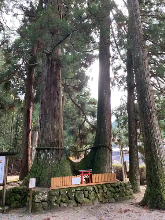 室生龍穴神社の自然