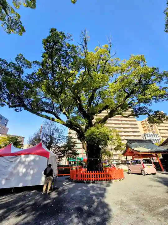 荒田八幡宮(鹿児島県)