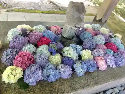 足羽神社(福井県)