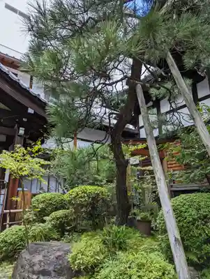 宝蔵寺(京都府)