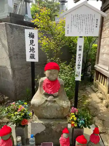 善楽寺(高知県)