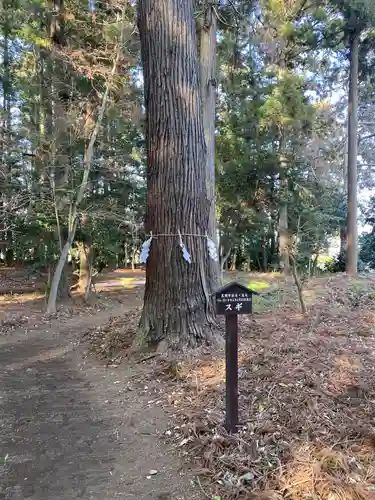長沼八幡宮(栃木県)