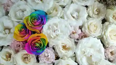 法輪寺の手水舎