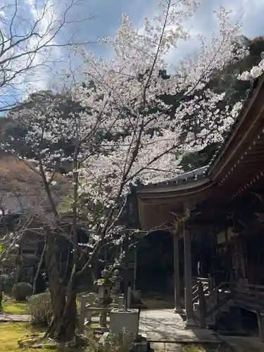 勝持寺（花の寺）(京都府)