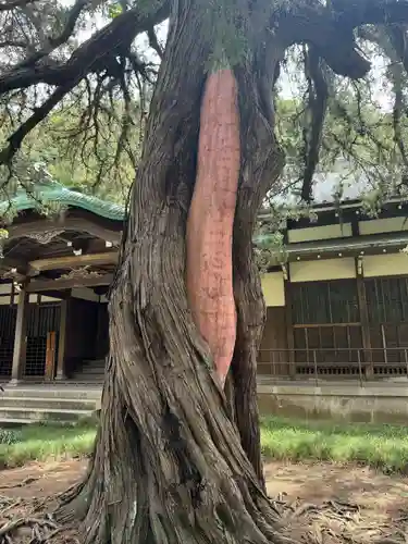 円覚寺(神奈川県)