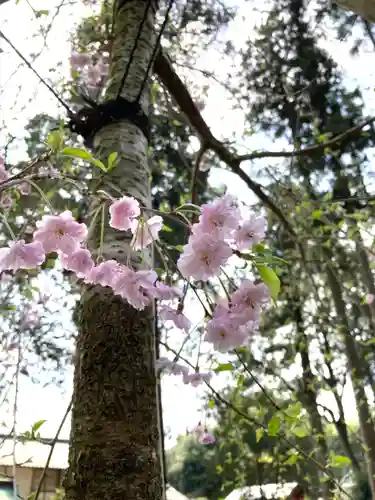 息栖神社の景色