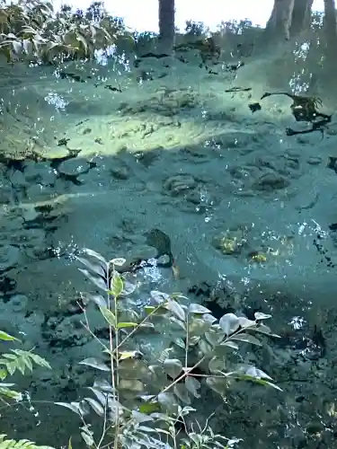 泉神社(茨城県)