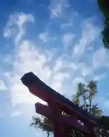 津島神社の鳥居