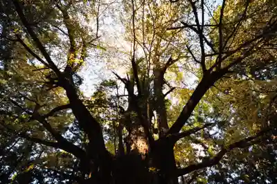 三瀧神社(愛媛県)