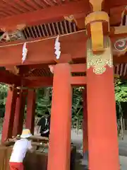 鶴岡八幡宮(神奈川県)