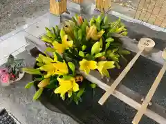 彌彦神社　(伊夜日子神社)(北海道)