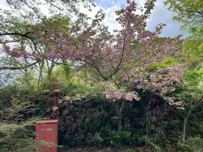 兵主神社(兵庫県)
